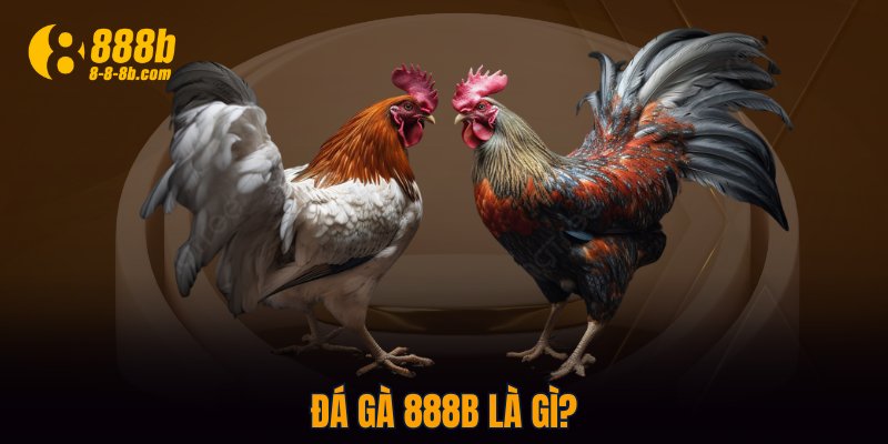 Đá Gà 888B là gì?