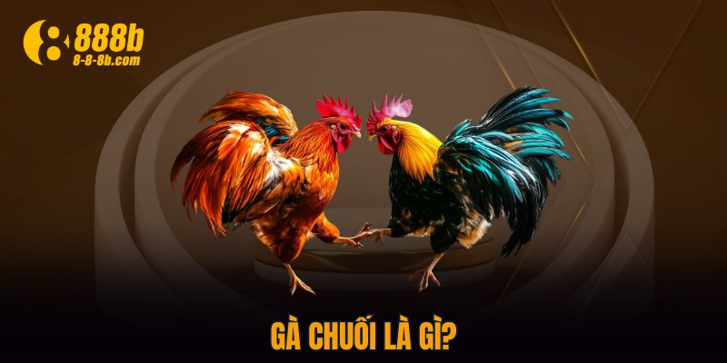 Gà chuối là gì?