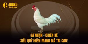Gà Nhạn - Chiến Kê Siêu Quý Hiếm Mang Giá Trị Cao!